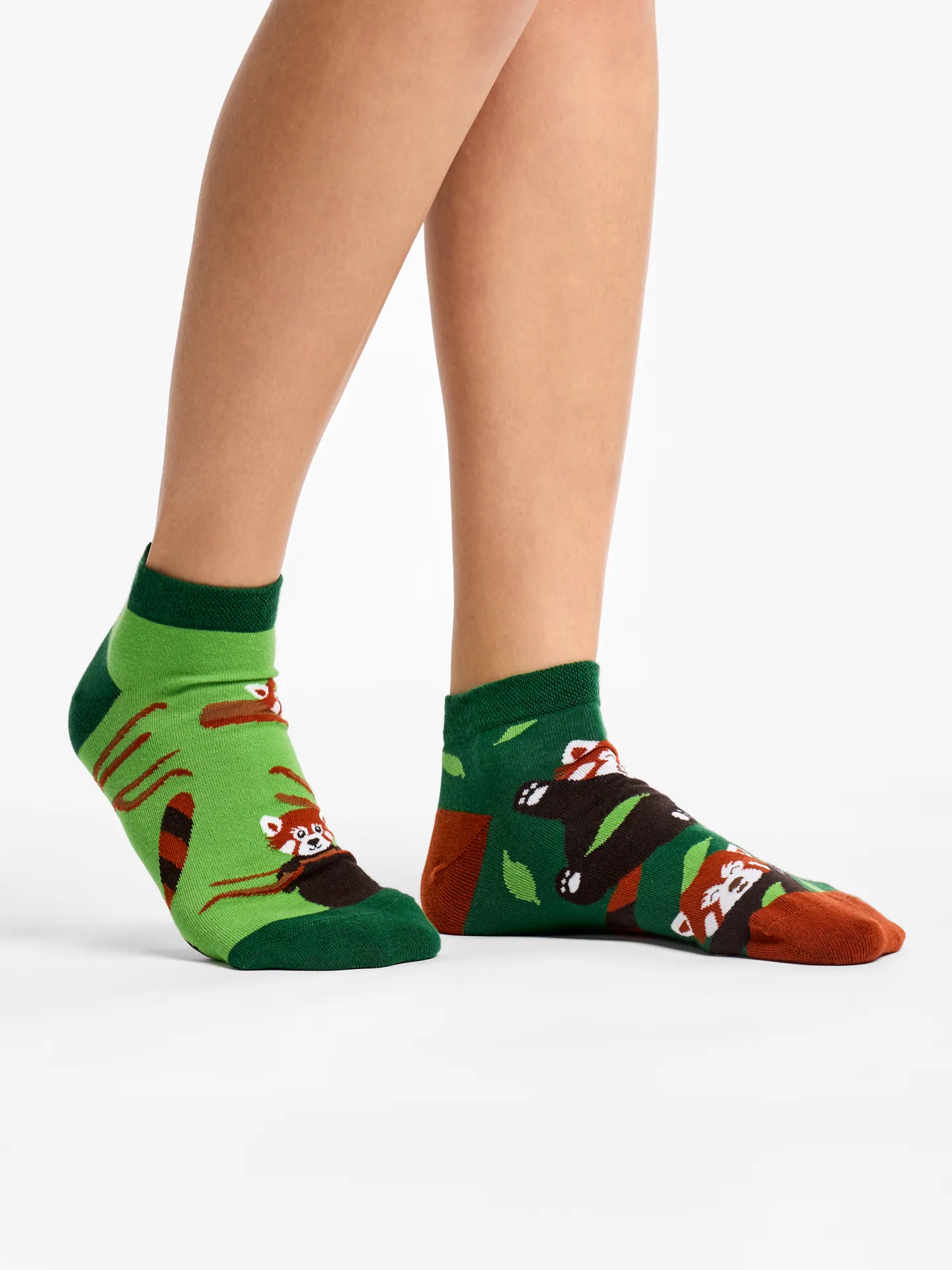 Miniatuur 3