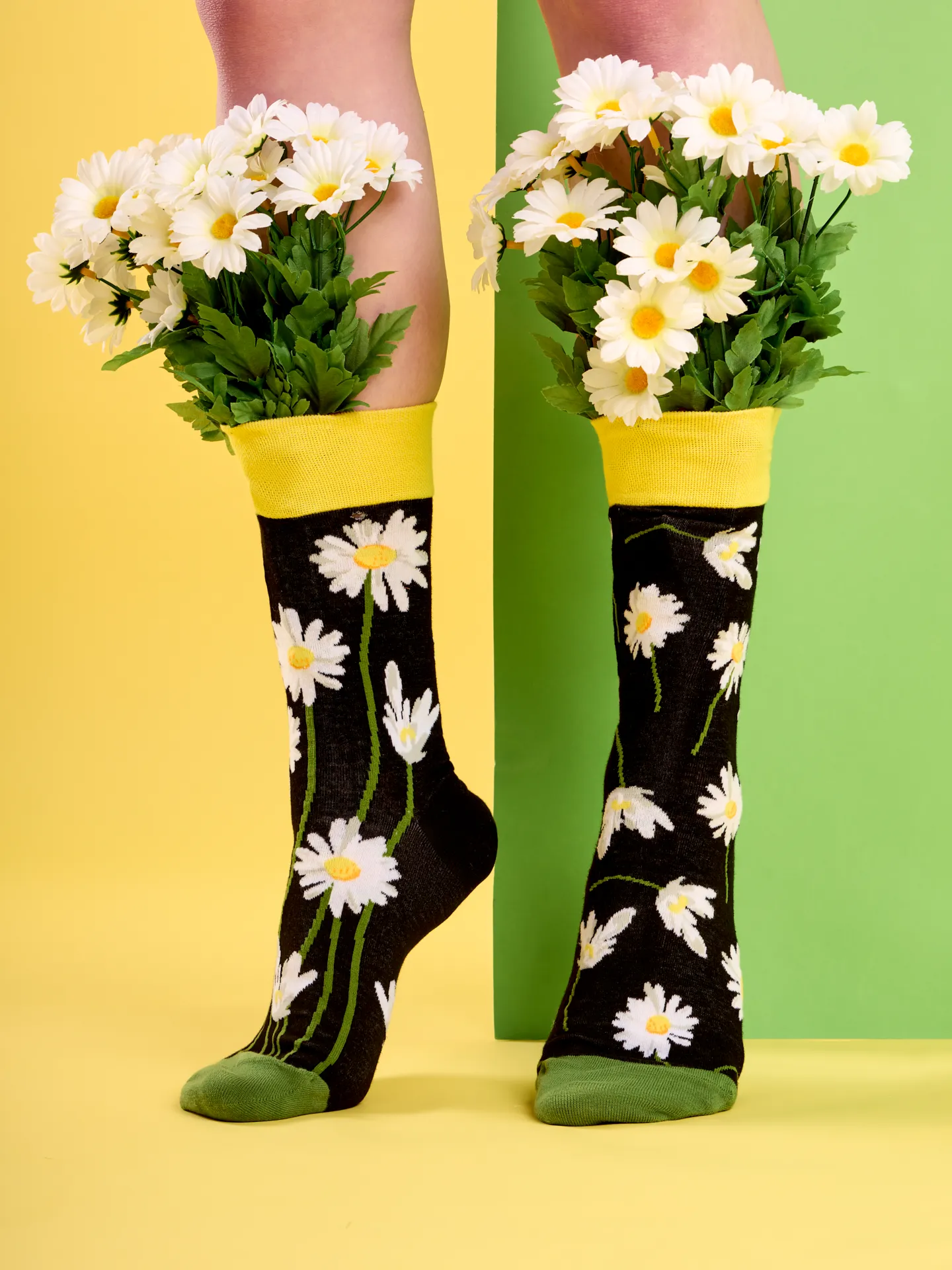 Miniatuur 4