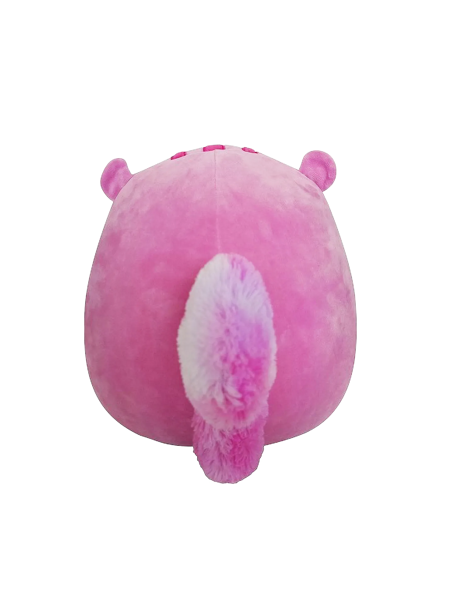 Miniatuur 3