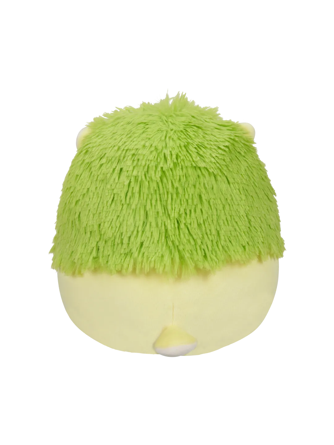 Miniatuur 4