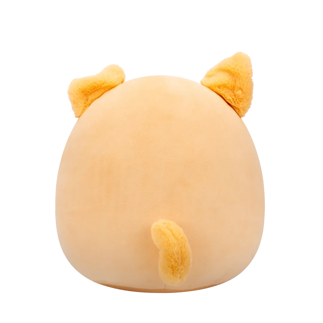 Miniatuur 4