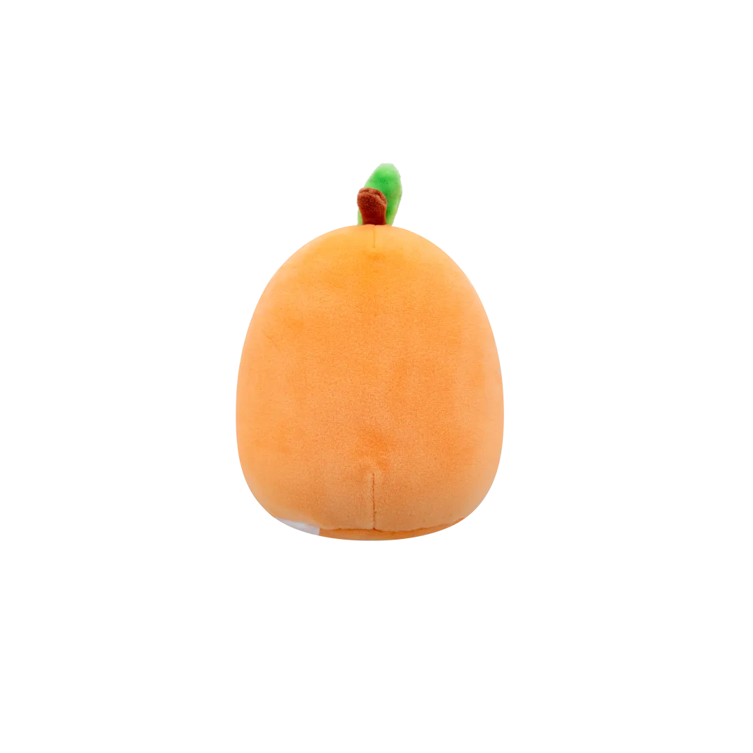 Miniatuur 10